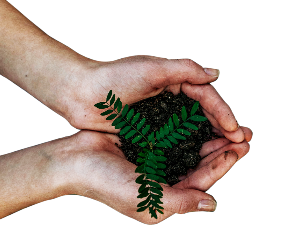 Rispetto Ambiente